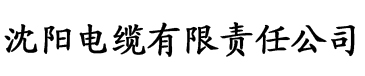 亚洲欧美日本H在线观看电缆厂logo